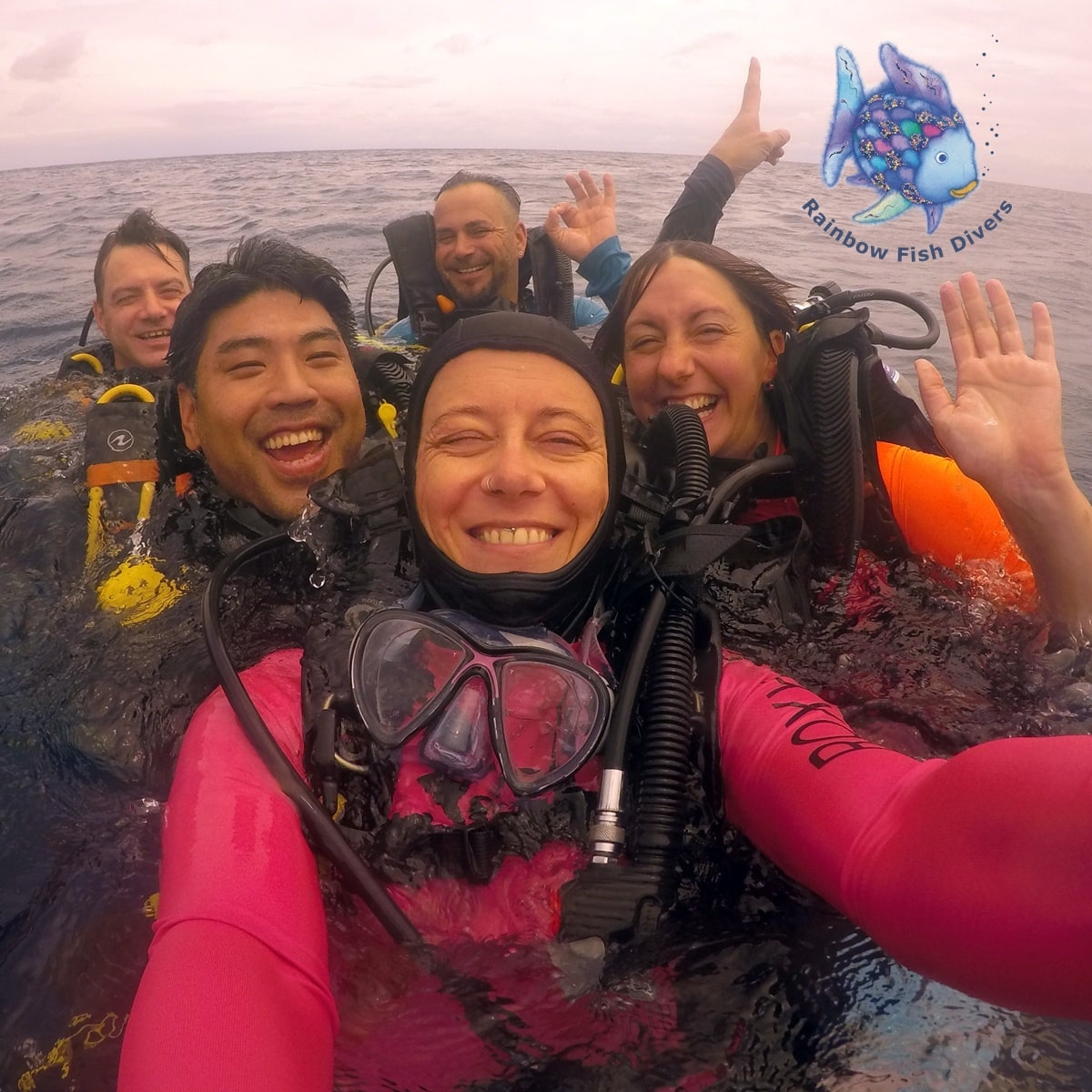 A Divers Group of Rainbow Fish Divers on the surface.